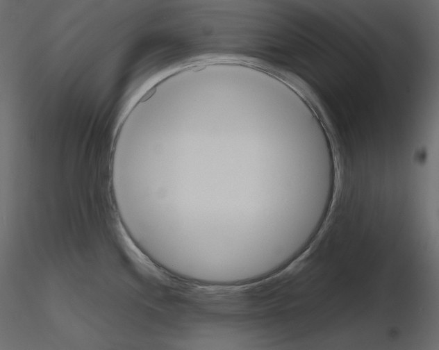 X0000115721244200912241558