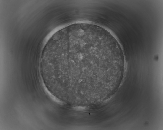 X0000115721245200912241558