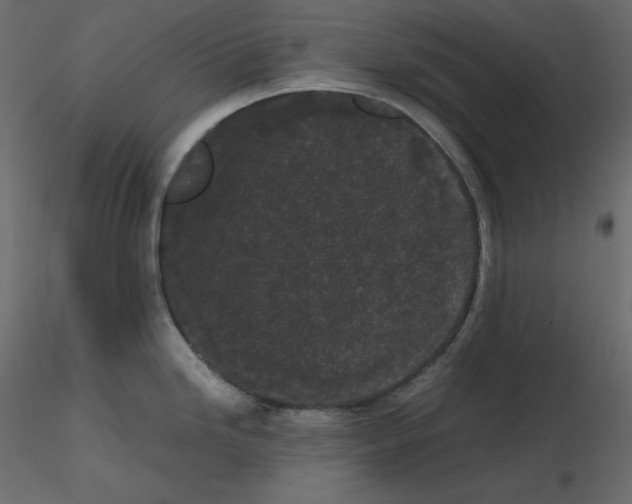 X0000115721246200912241558