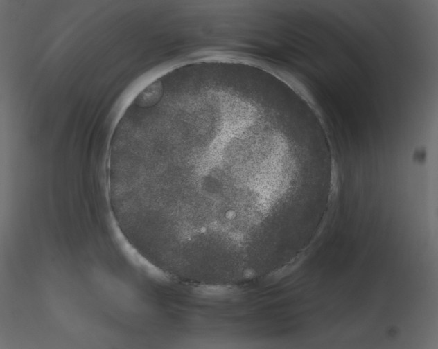 X0000115721247200912241558