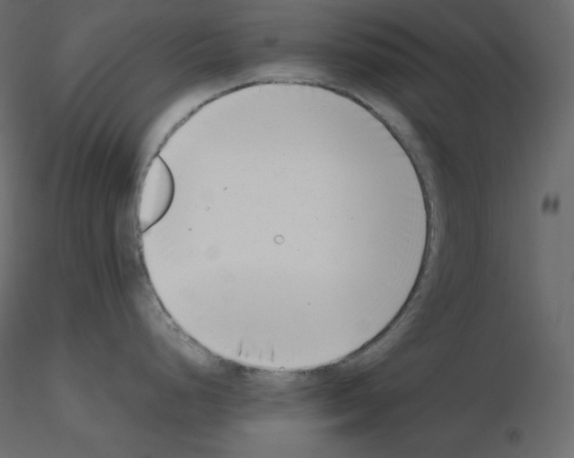 X0000115721248200912241558
