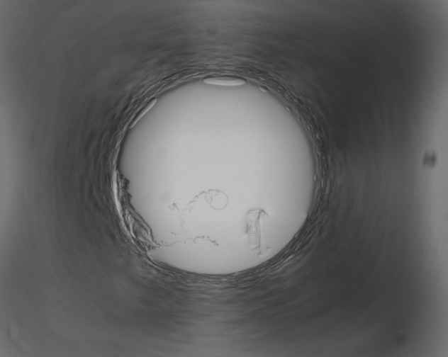 X0000115721249200912241557