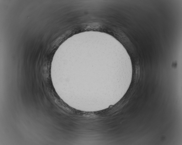 X0000115721250200912241557