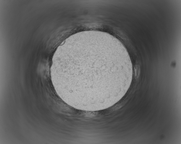 X0000115721251200912241557
