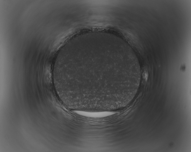 X0000115721252200912241557