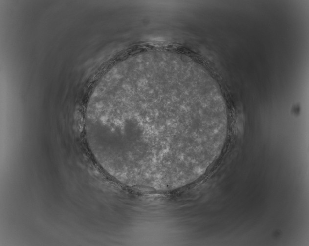 X0000115721253200912241557