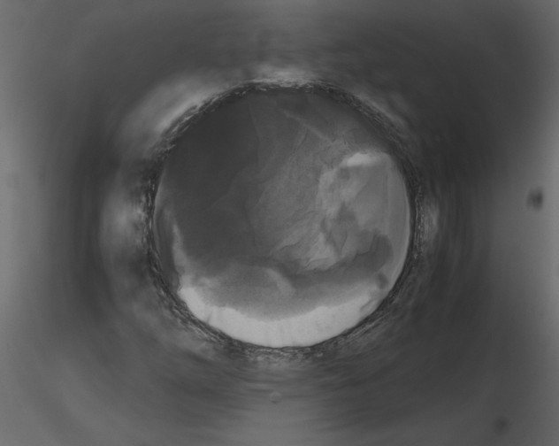 X0000115721254200912241557