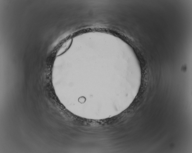 X0000115721255200912241557