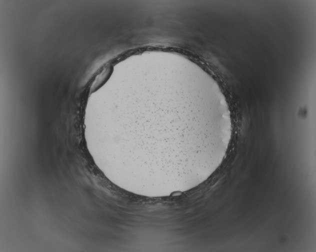 X0000115721256200912241557