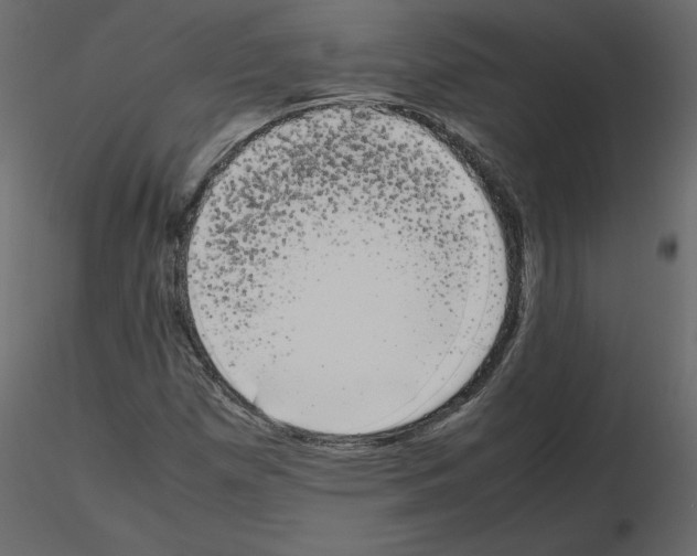 X0000115721257200912241557