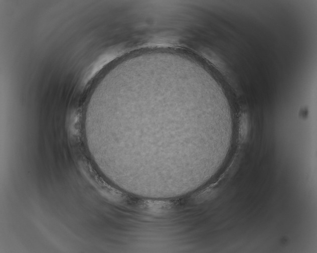 X0000115721258200912241557