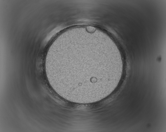 X0000115721259200912241557