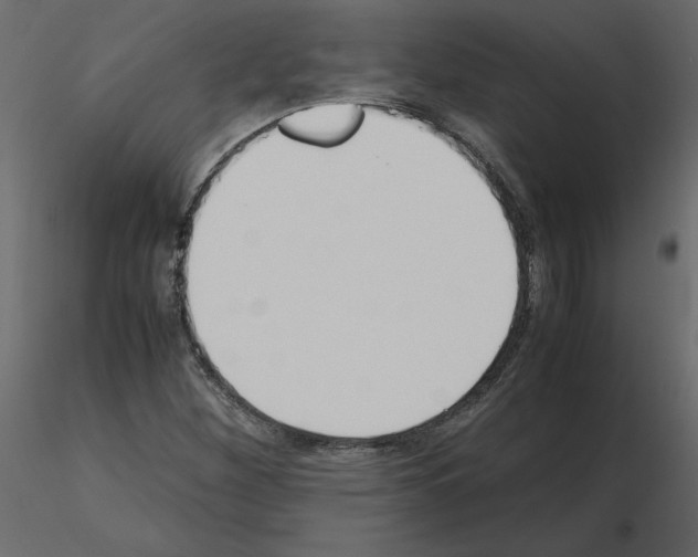 X0000115721260200912241557