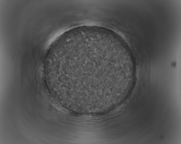 X0000115721263200912241557