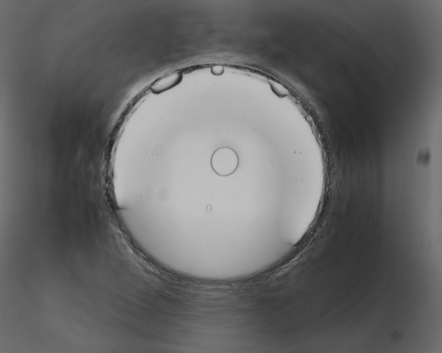 X0000115721264200912241557