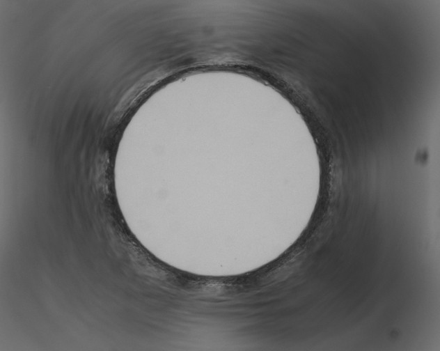 X0000115721265200912241557