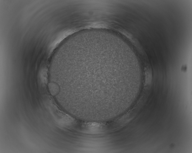 X0000115721266200912241557