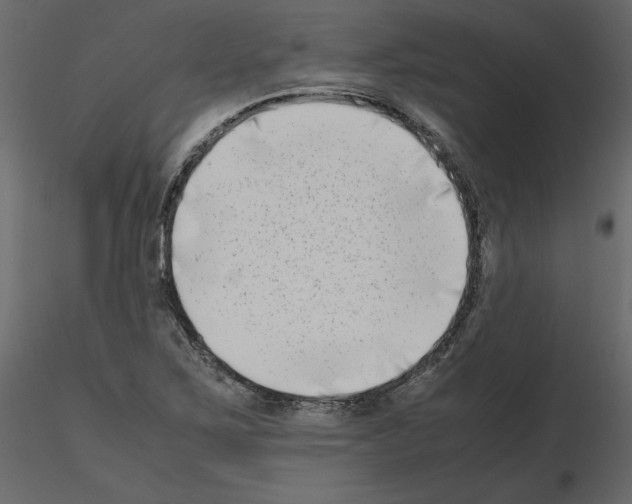 X0000115721267200912241557