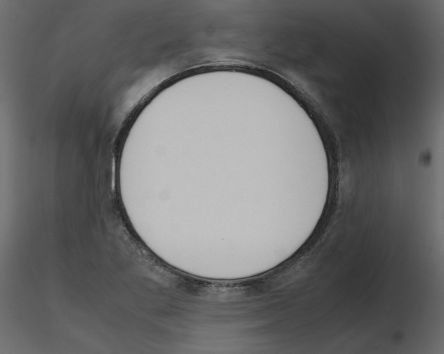 X0000115721269200912241557