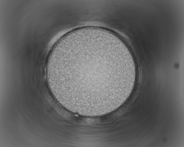 X0000115721271200912241557