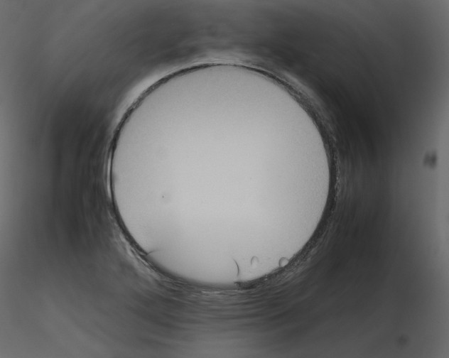 X0000115721272200912241557