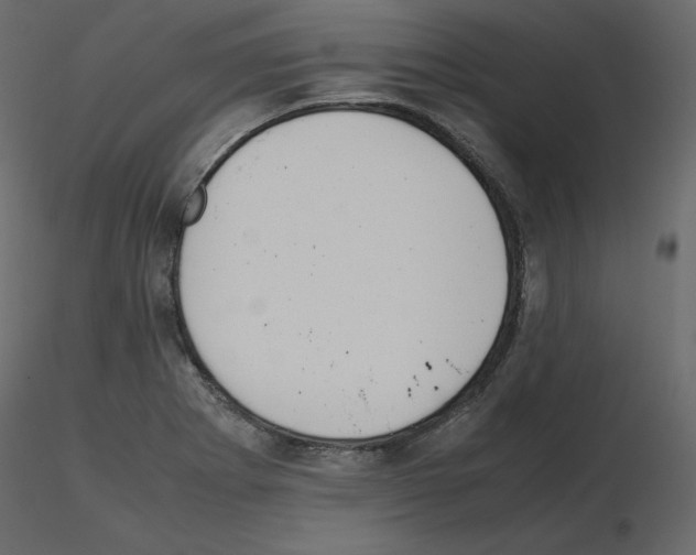X0000115721273200912241557