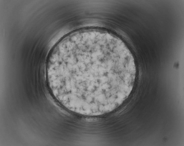 X0000115721274200912241557