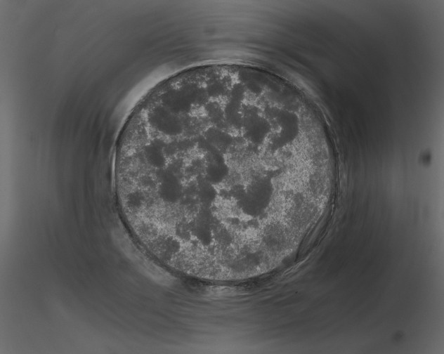 X0000115721275200912241557
