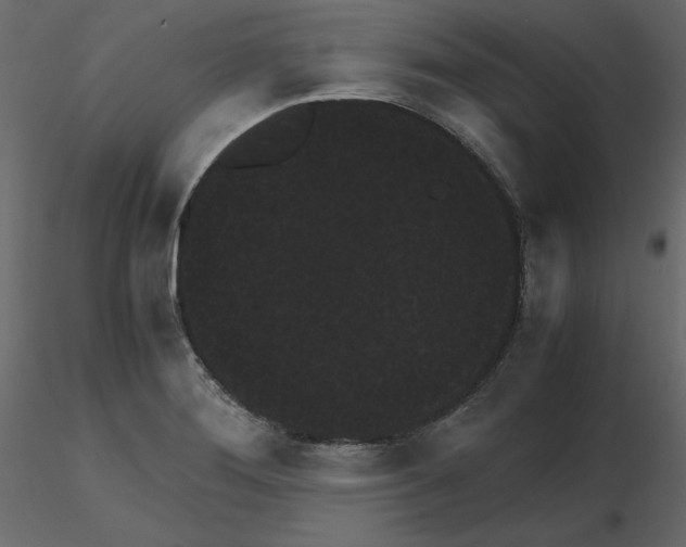 X0000115721276200912241557