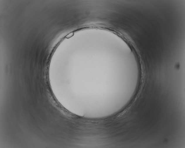 X0000115721277200912241557