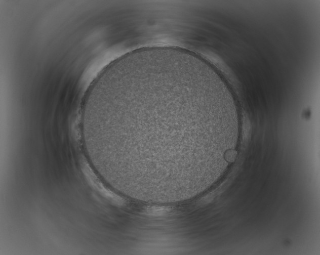 X0000115721278200912241557