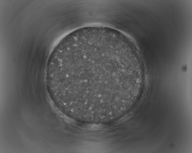 X0000115721279200912241557