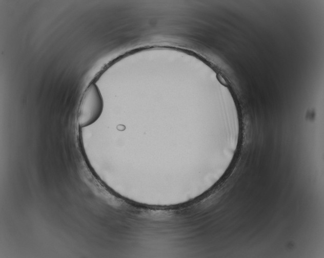 X0000115721280200912241557