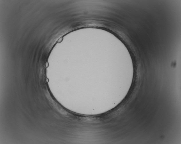 X0000115721281200912241557