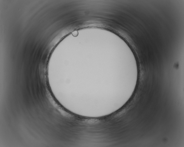 X0000115721282200912241557