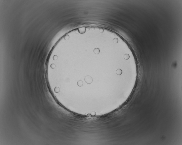 X0000115721283200912241557
