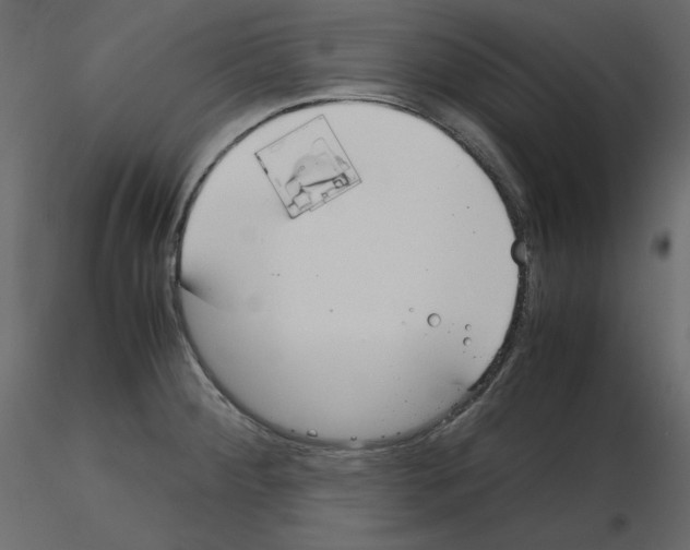 X0000115721284200912241557