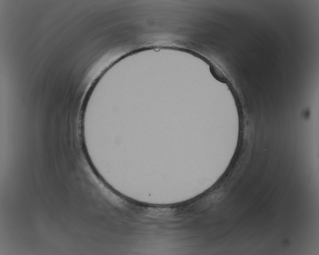 X0000115721285200912241557