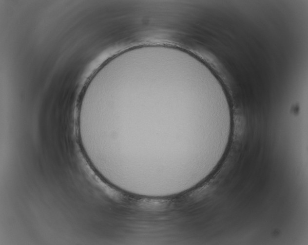 X0000115721286200912241557