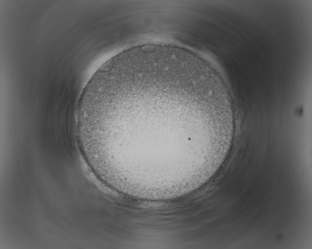 X0000115721287200912241557