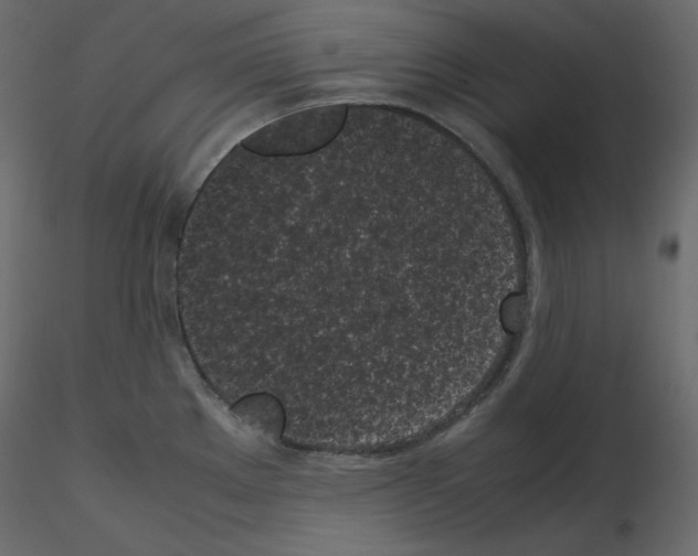 X0000115721289200912241557