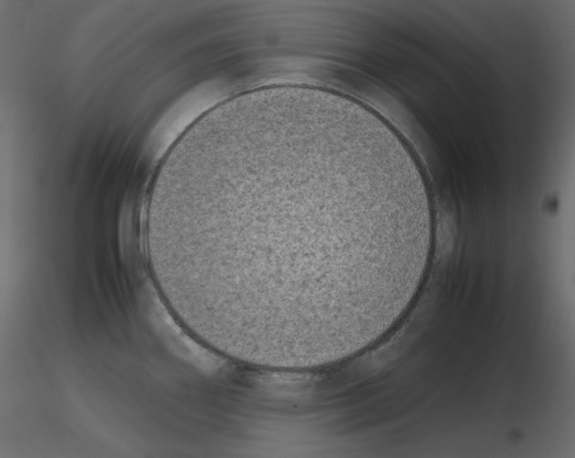 X0000115721290200912241557