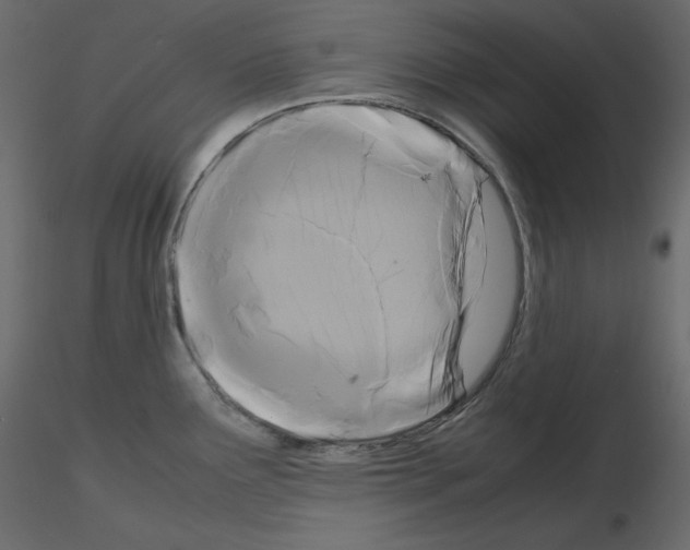 X0000115721291200912241557