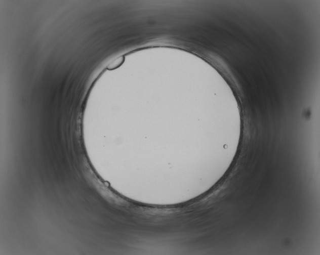 X0000115721292200912241557