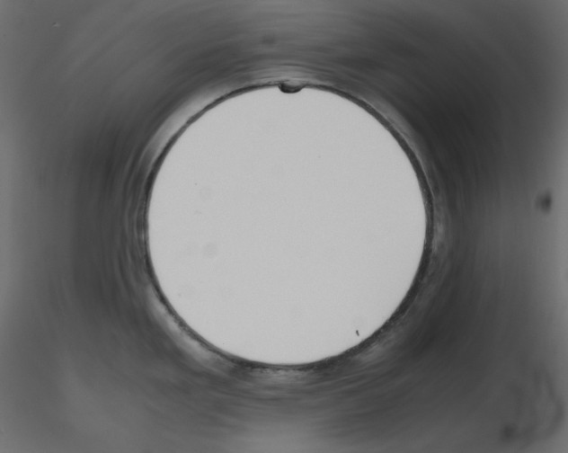X0000115721293200912241557