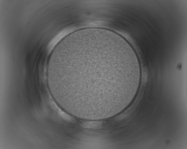 X0000115721294200912241557