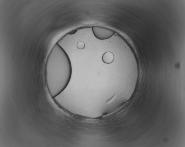 X0000115721295200912241557