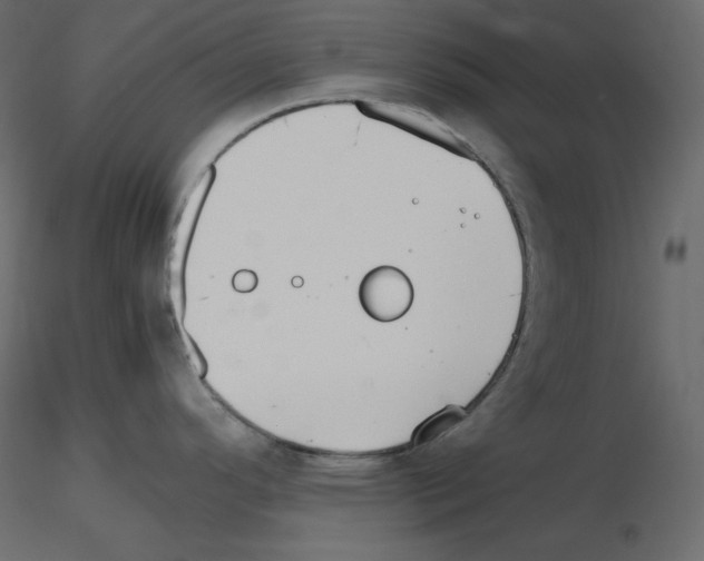 X0000115721296200912241557