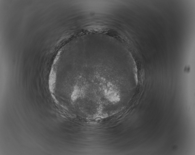 X0000115721297200912241556