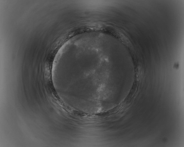 X0000115721298200912241556